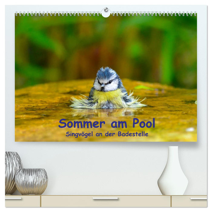 Sommer am Pool - Singvögel an der Badestelle (CALVENDO Premium Wandkalender 2025)