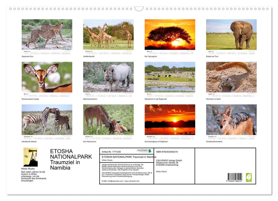 ETOSHA NATIONALPARK Traumziel in Namibia (CALVENDO Wandkalender 2025)