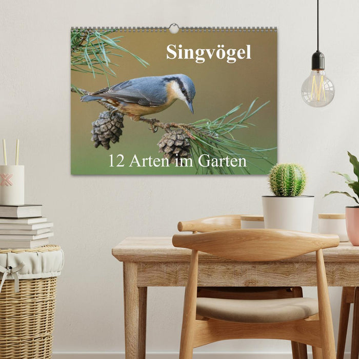 Singvögel - 12 Arten im Garten (CALVENDO Wandkalender 2025)