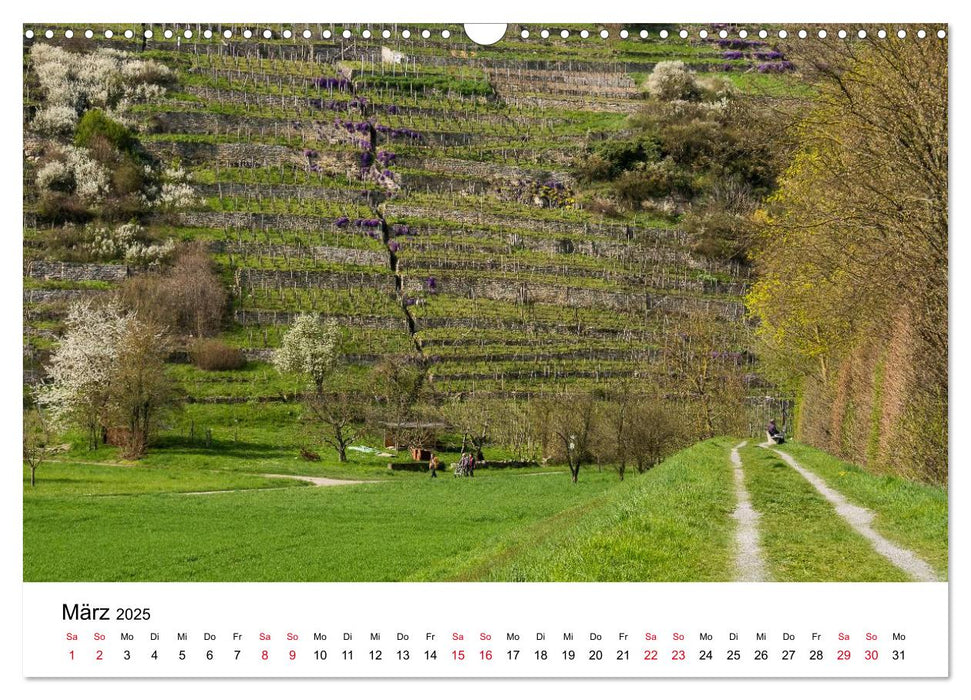 Wege in der Natur - Kraichgau und Enzkreis (CALVENDO Wandkalender 2025)