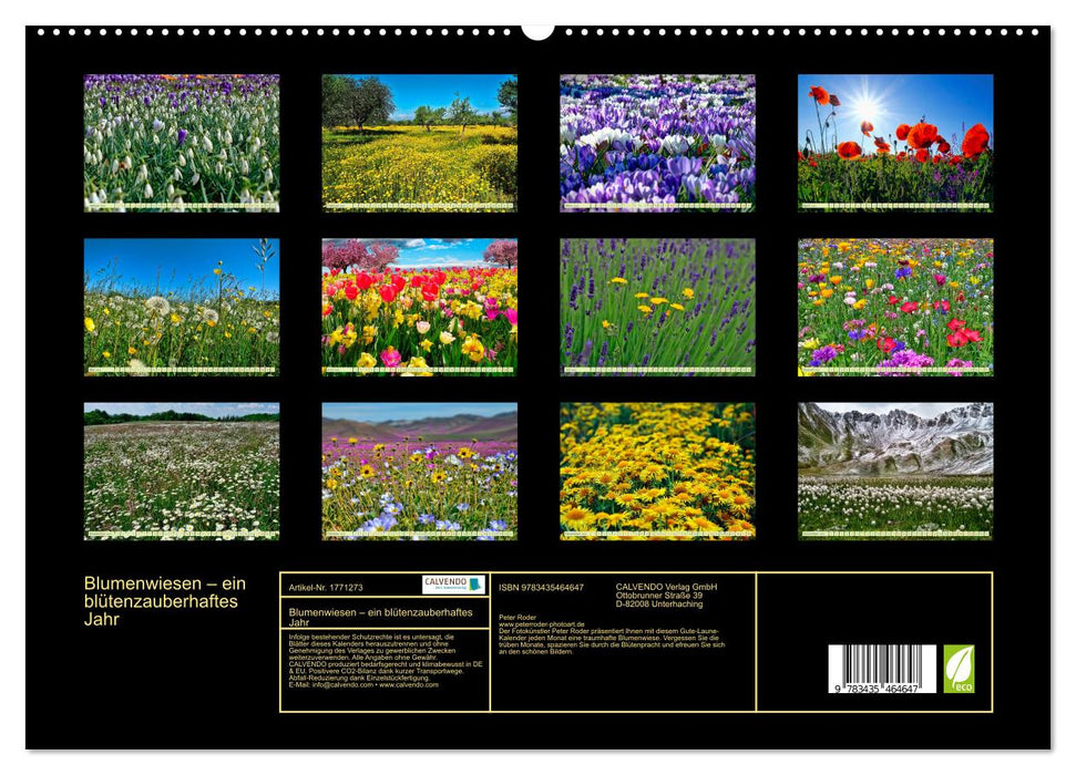 Blumenwiesen – ein blütenzauberhaftes Jahr (CALVENDO Premium Wandkalender 2025)