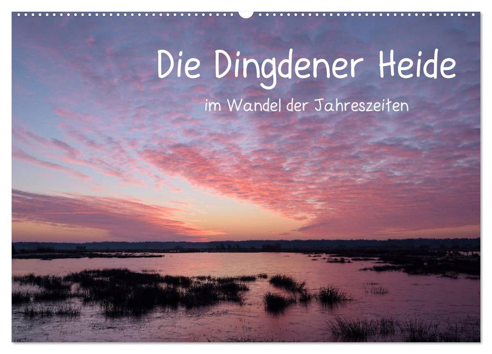 Die Dingdener Heide im Wandel der Jahreszeiten (CALVENDO Wandkalender 2025)