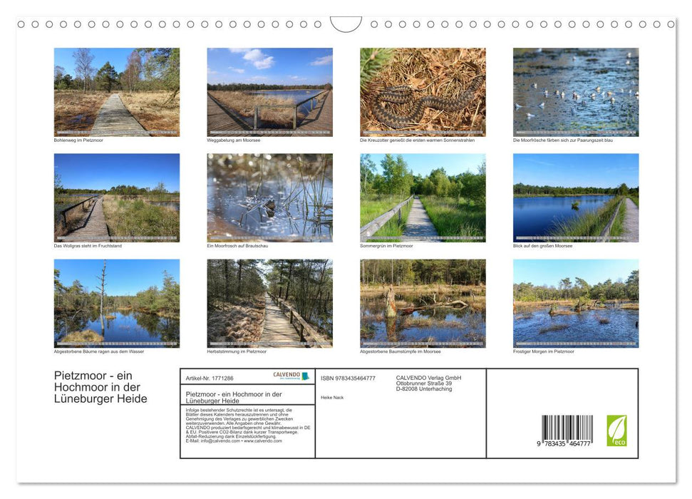 Pietzmoor - ein Hochmoor in der Lüneburger Heide (CALVENDO Wandkalender 2025)