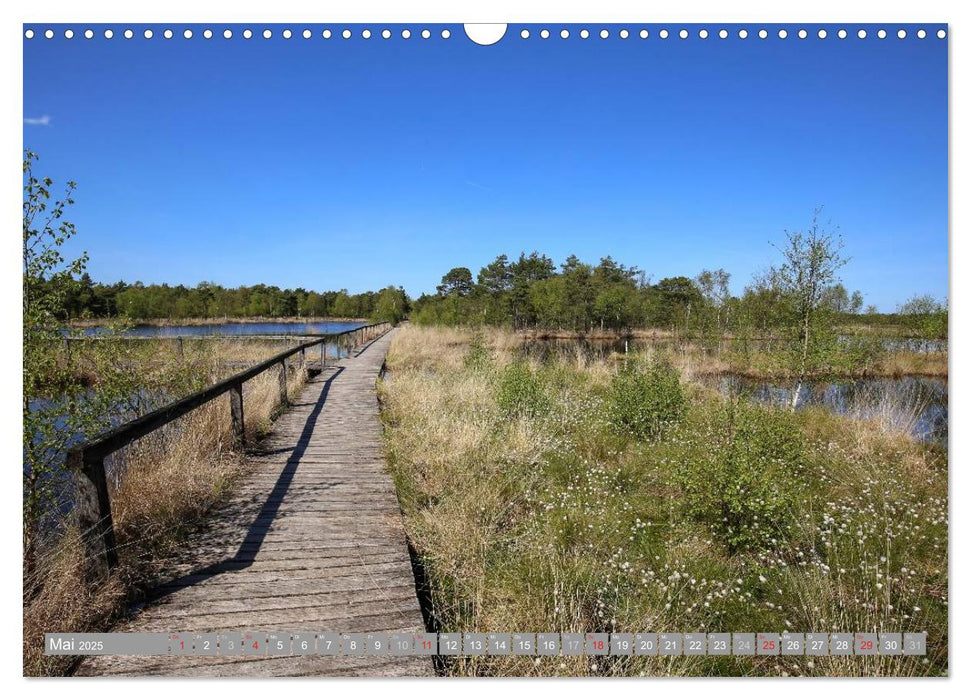 Pietzmoor - ein Hochmoor in der Lüneburger Heide (CALVENDO Wandkalender 2025)