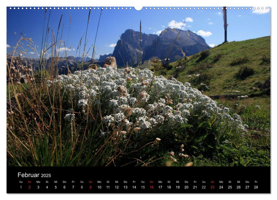 Alpe di Siusi - Seiser Alm (CALVENDO Premium Wandkalender 2025)