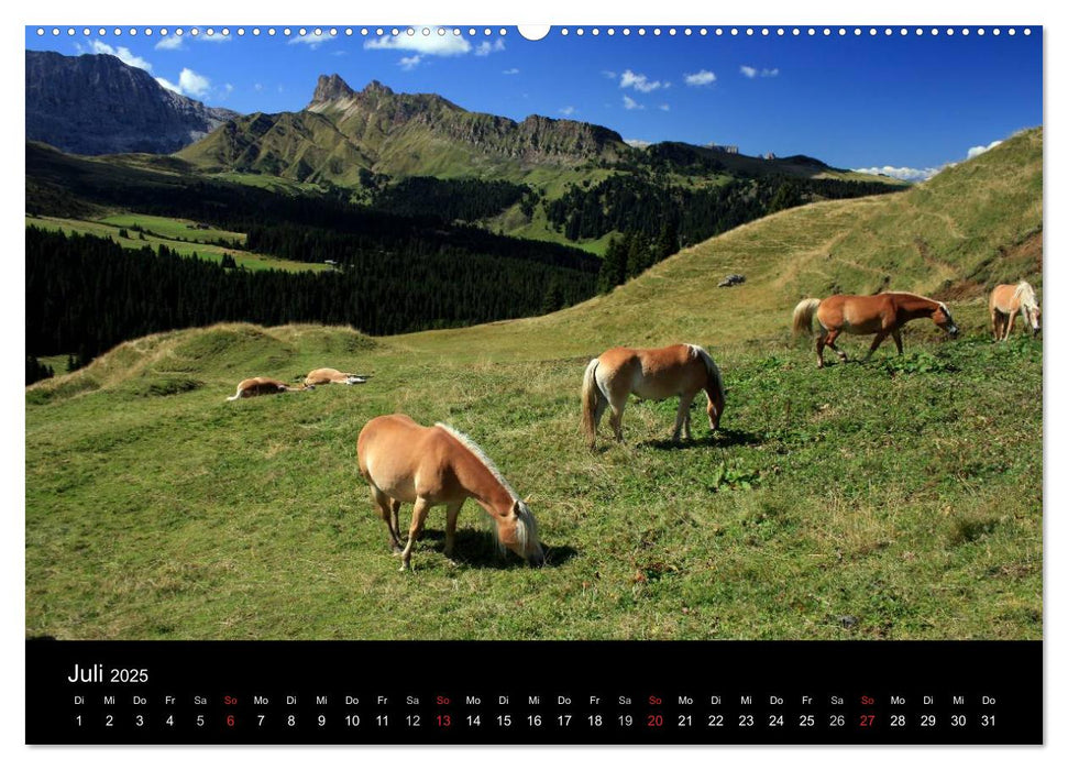 Alpe di Siusi - Seiser Alm (CALVENDO Premium Wandkalender 2025)