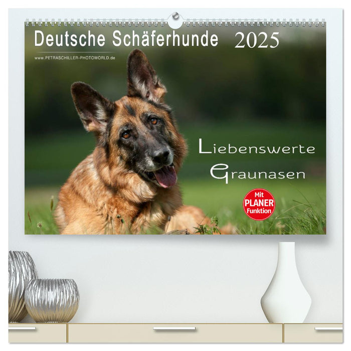 Deutsche Schäferhunde - Liebenswerte Graunasen (CALVENDO Premium Wandkalender 2025)