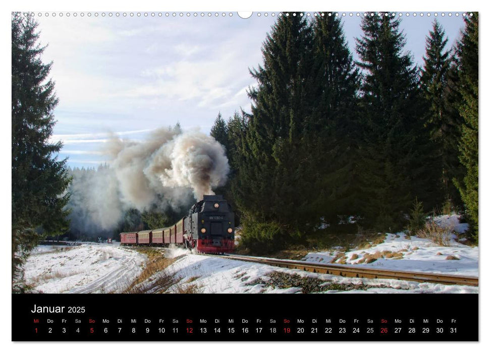 Unter Dampf in Sachsen Anhalt 2.0 (CALVENDO Wandkalender 2025)