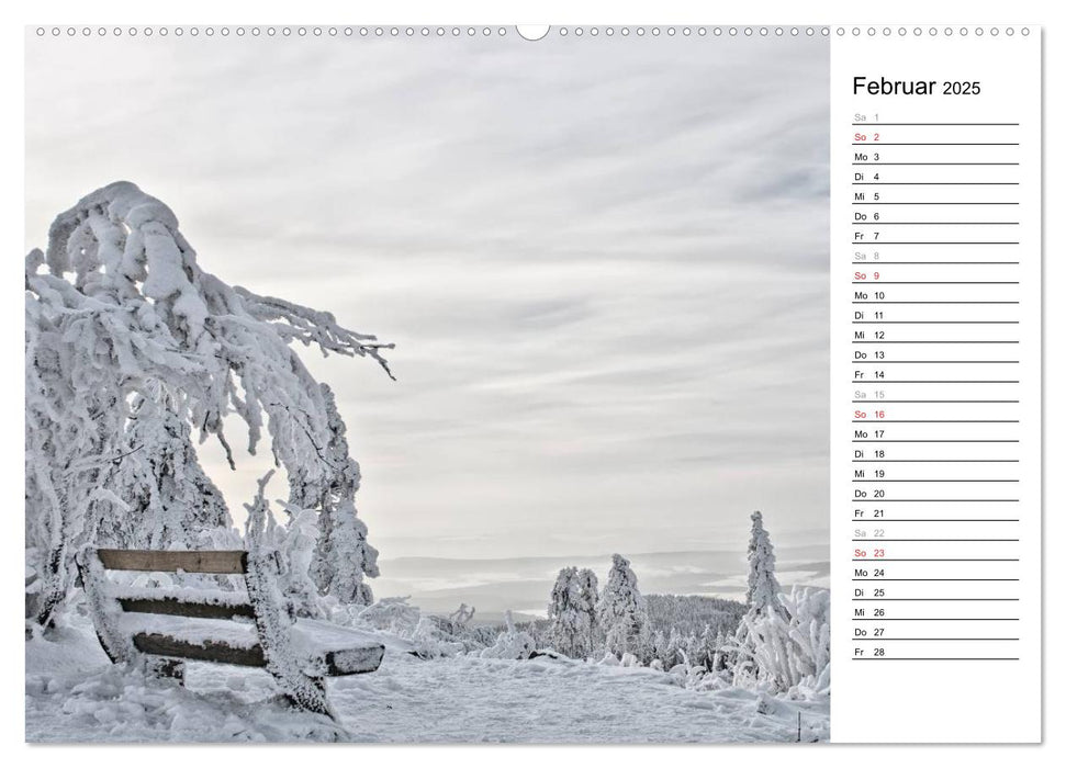 Taunus - Träume (CALVENDO Premium Wandkalender 2025)