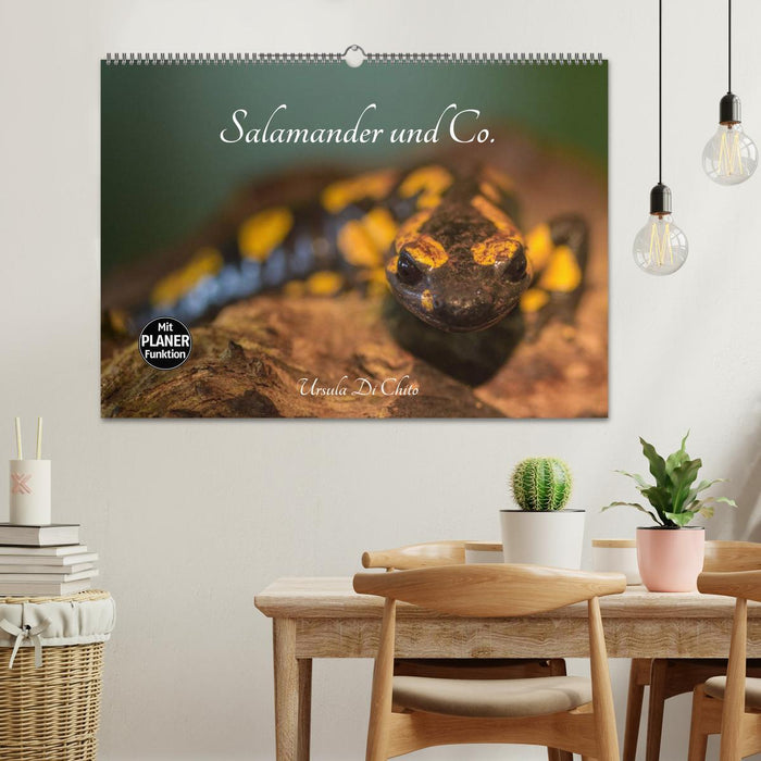 Salamander und Co. (CALVENDO Wandkalender 2025)