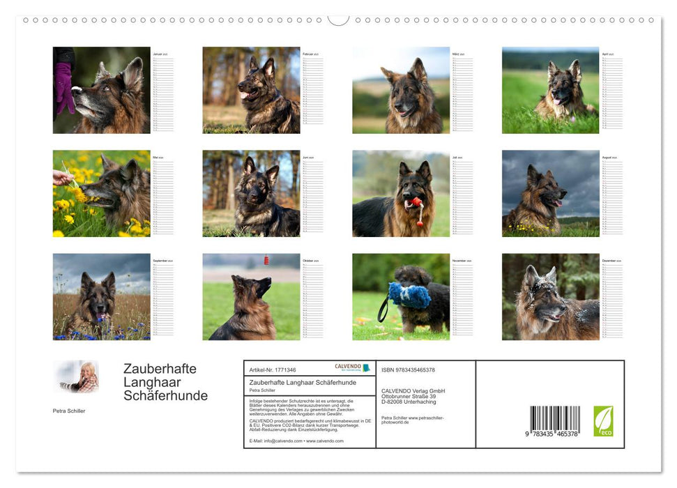 Zauberhafte Langhaar Schäferhunde (CALVENDO Premium Wandkalender 2025)