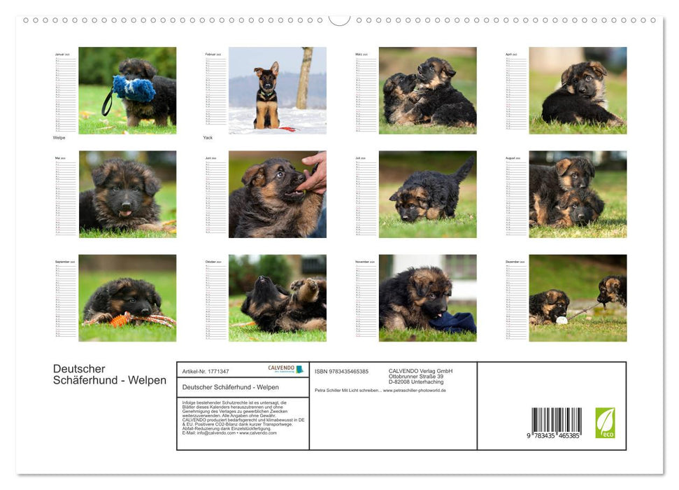 Deutscher Schäferhund - Welpen (CALVENDO Premium Wandkalender 2025)