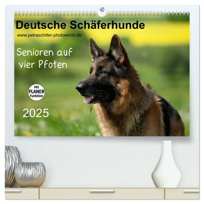 Deutsche Schäferhunde - Senioren auf vier Pfoten (CALVENDO Premium Wandkalender 2025)