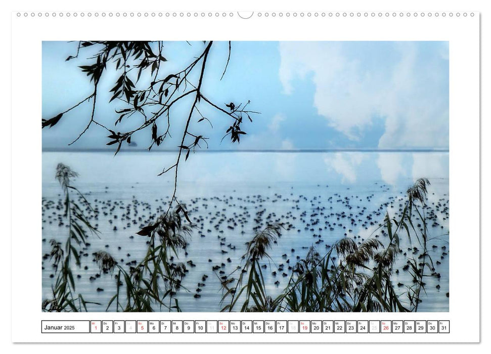 Bodensee - Seesucht (CALVENDO Wandkalender 2025)