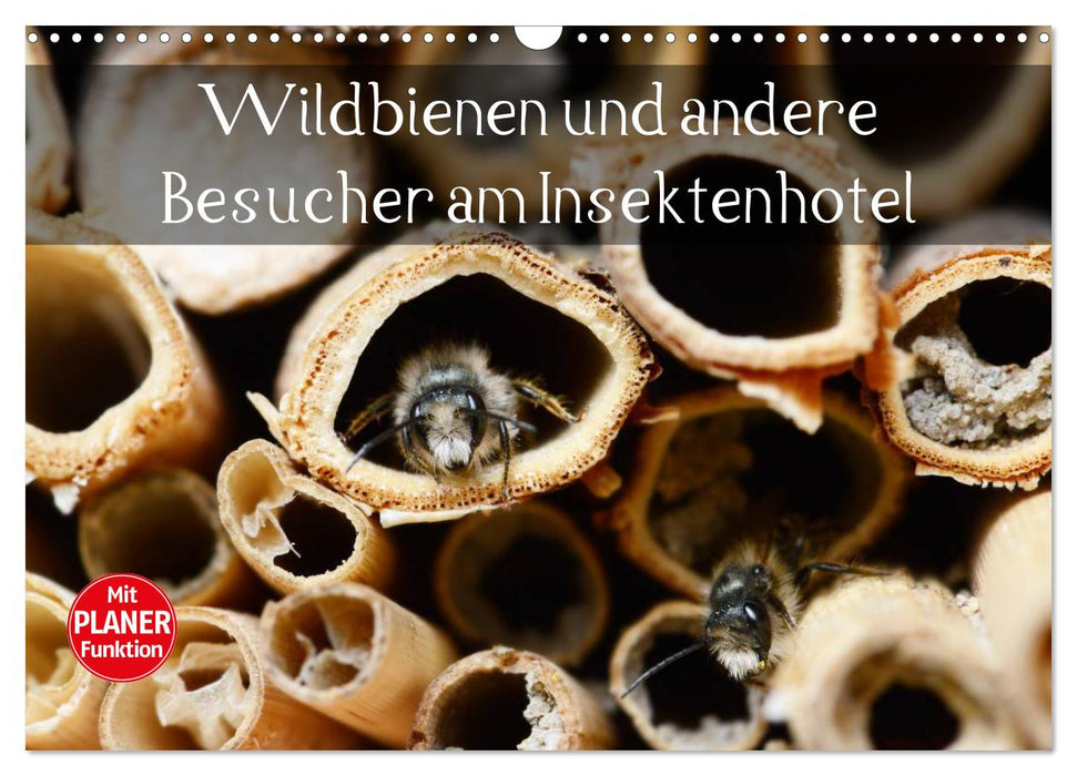 Wildbienen und andere Besucher am Insektenhotel (CALVENDO Wandkalender 2025)