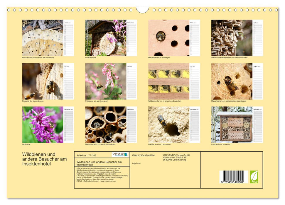 Wildbienen und andere Besucher am Insektenhotel (CALVENDO Wandkalender 2025)