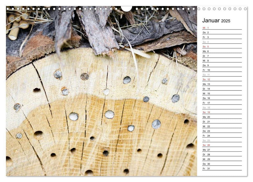 Wildbienen und andere Besucher am Insektenhotel (CALVENDO Wandkalender 2025)