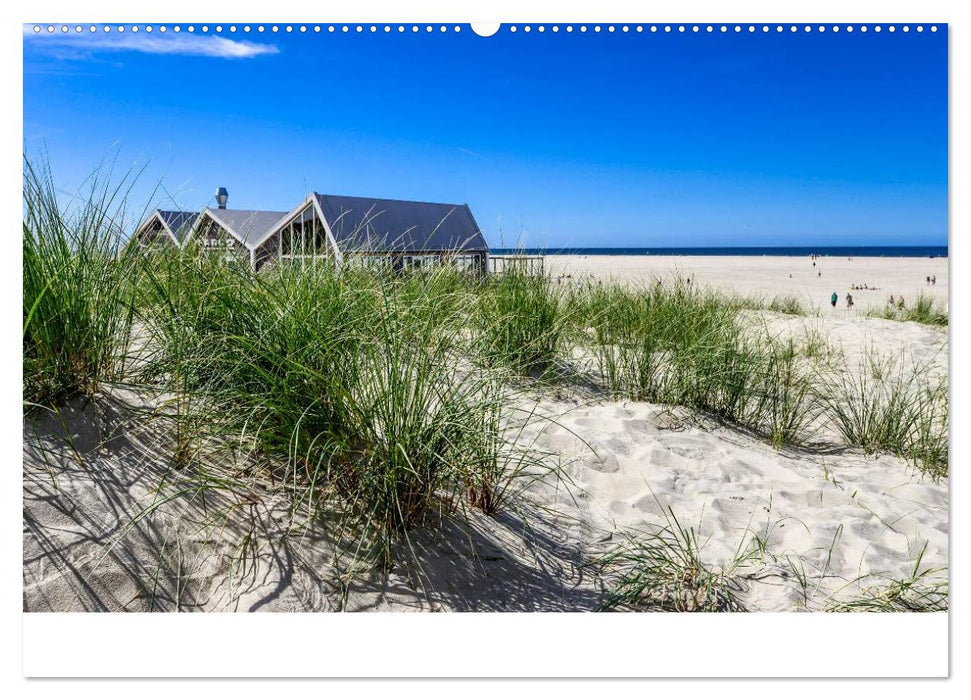 Grüße aus Texel (CALVENDO Premium Wandkalender 2025)