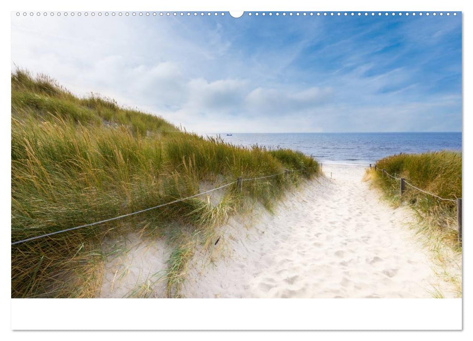 Grüße aus Texel (CALVENDO Premium Wandkalender 2025)