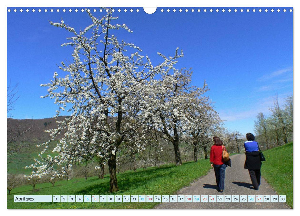 Stimmungsvolle Schwäbische Alb (CALVENDO Wandkalender 2025)