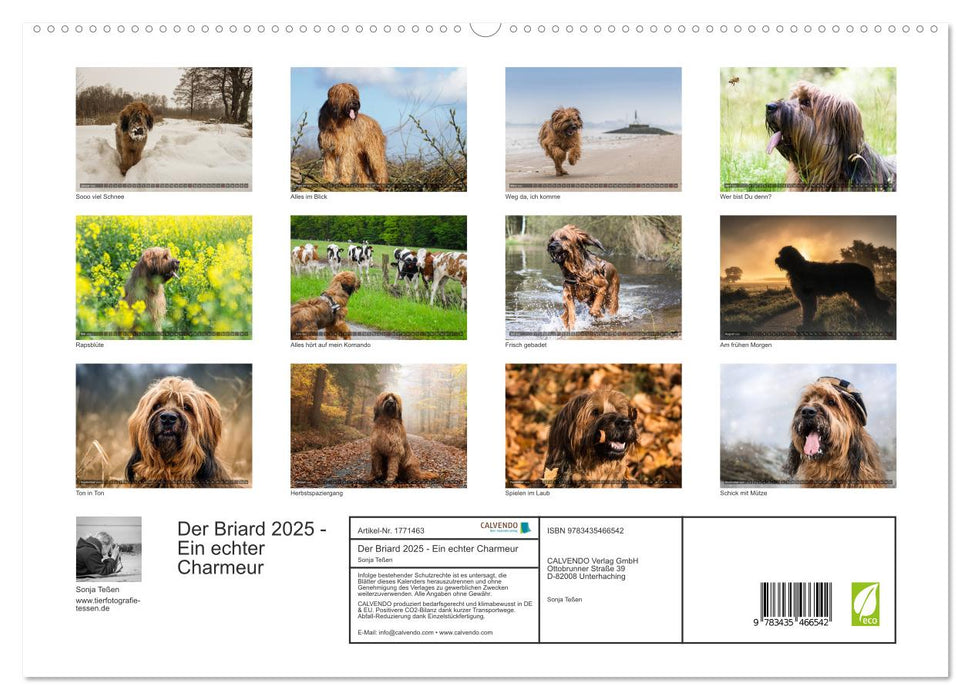 Der Briard 2025 - Ein echter Charmeur (CALVENDO Premium Wandkalender 2025)