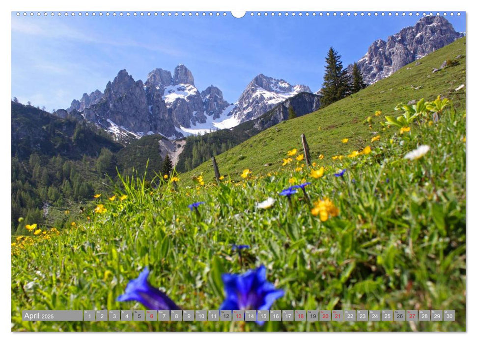 Die Bischofsmütze im schönen Salzburger Land (CALVENDO Wandkalender 2025)