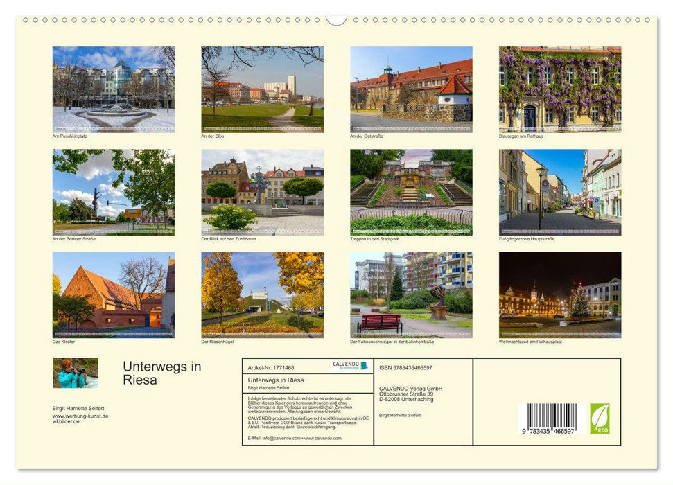 Unterwegs in Riesa (CALVENDO Premium Wandkalender 2025)