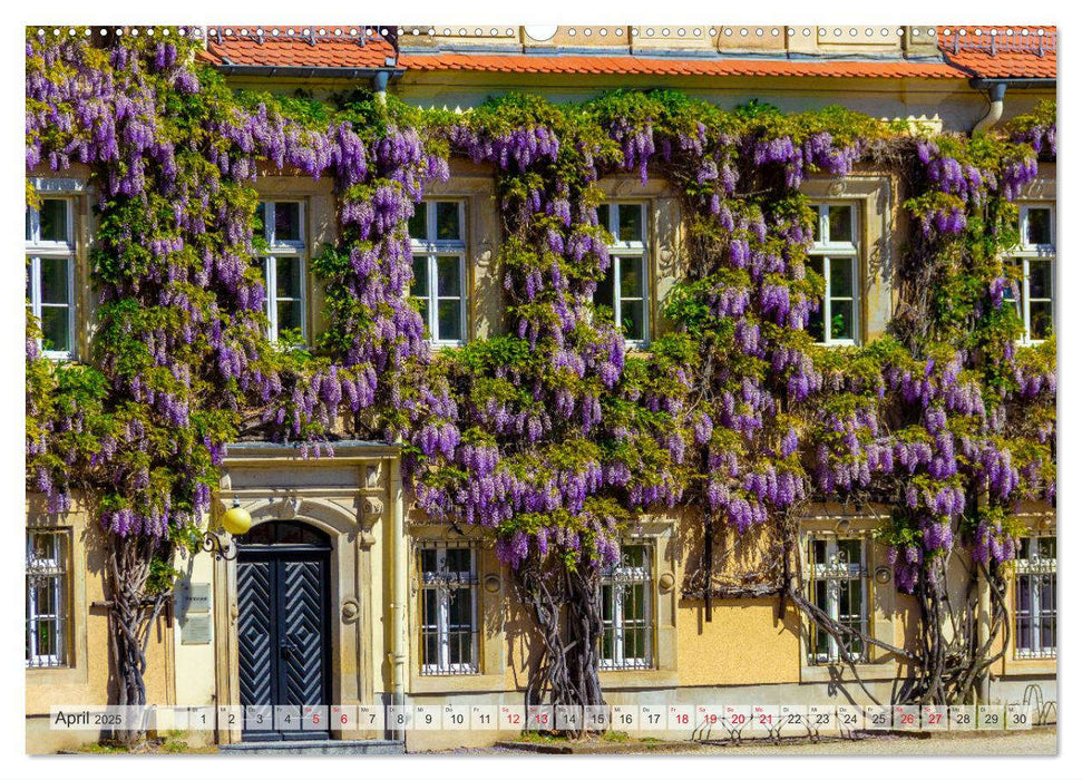 Unterwegs in Riesa (CALVENDO Premium Wandkalender 2025)