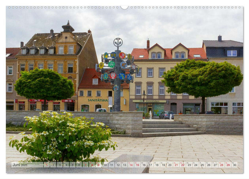 Unterwegs in Riesa (CALVENDO Premium Wandkalender 2025)