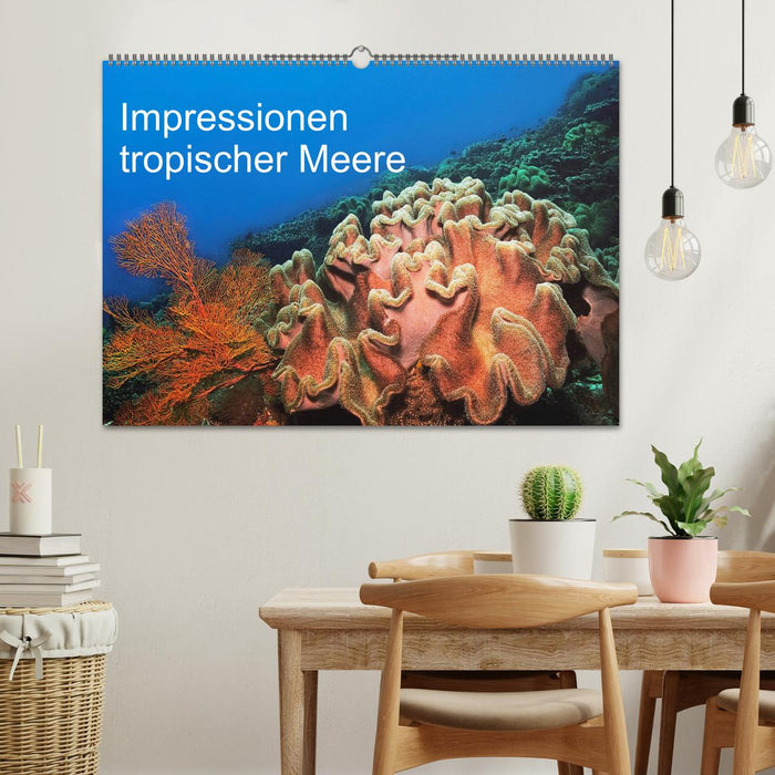 Impressionen tropischer Meere (CALVENDO Wandkalender 2025)