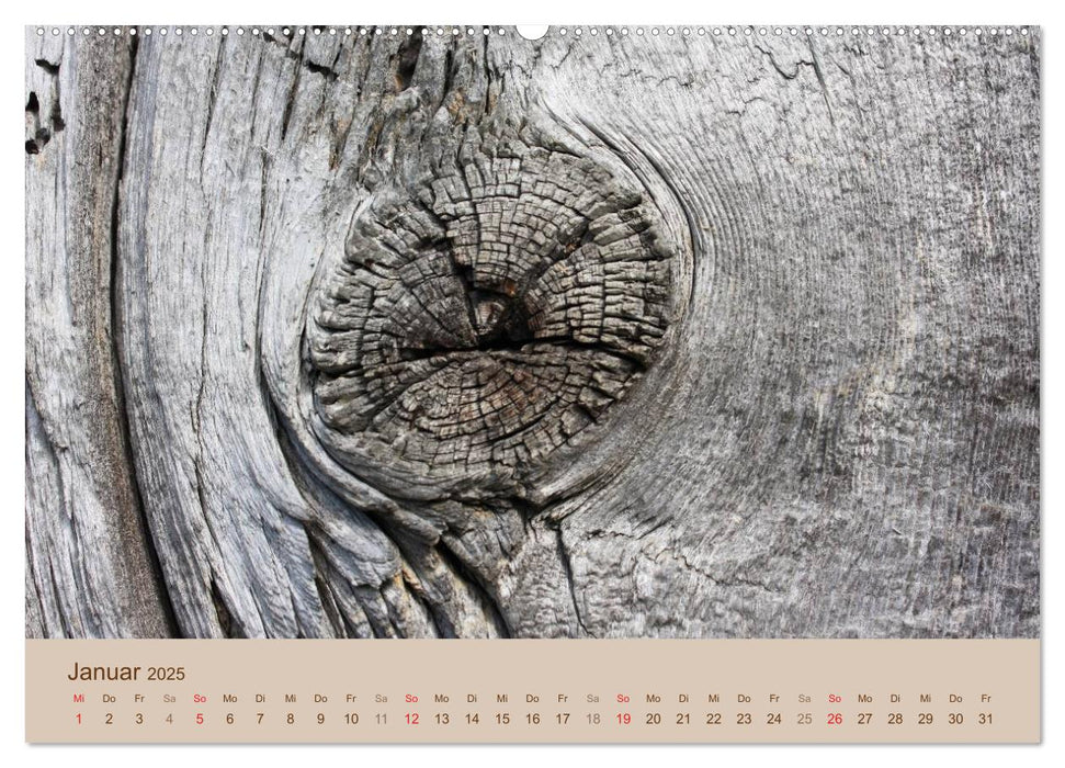 Farben des Holzes (CALVENDO Premium Wandkalender 2025)