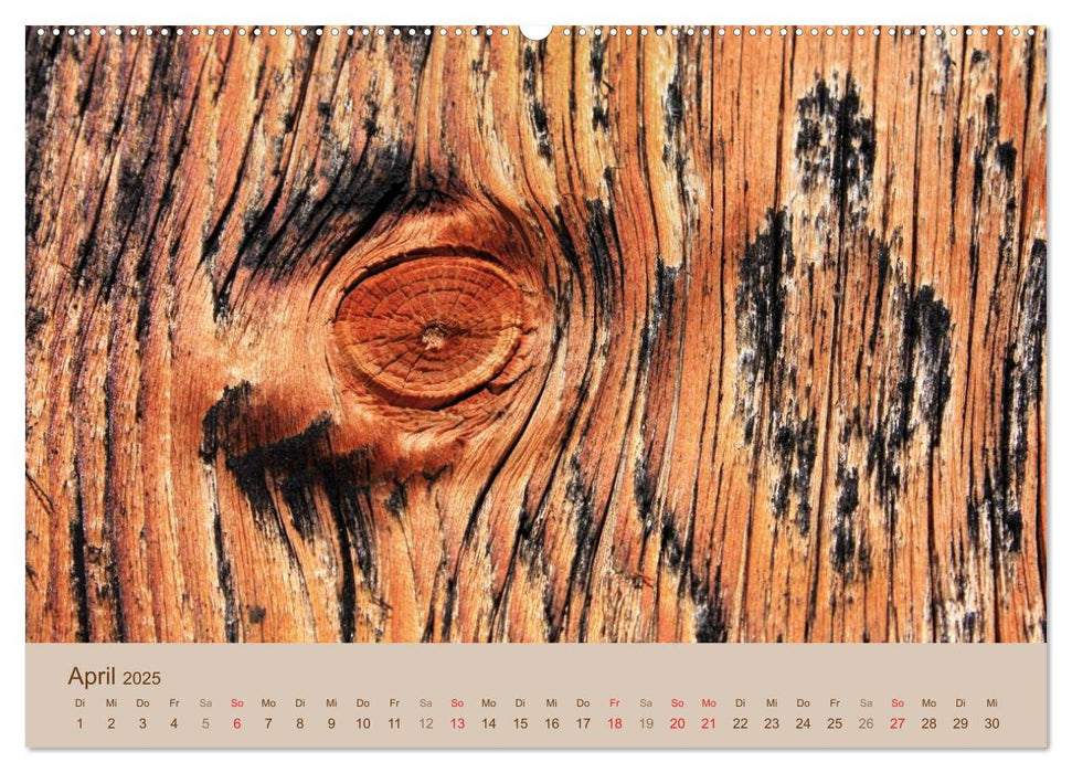 Farben des Holzes (CALVENDO Premium Wandkalender 2025)