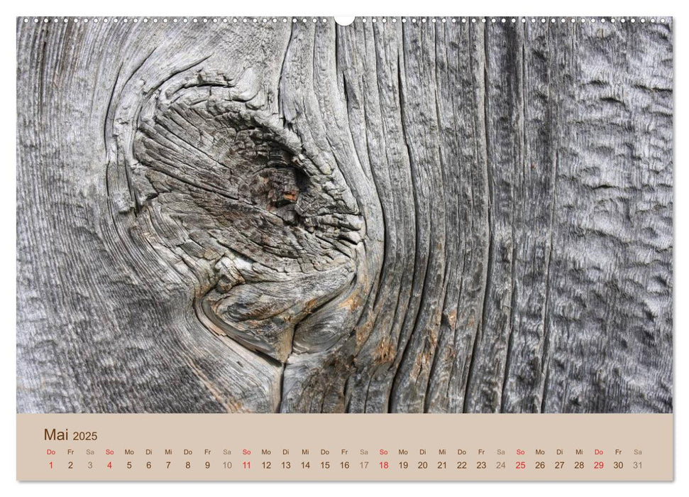 Farben des Holzes (CALVENDO Premium Wandkalender 2025)