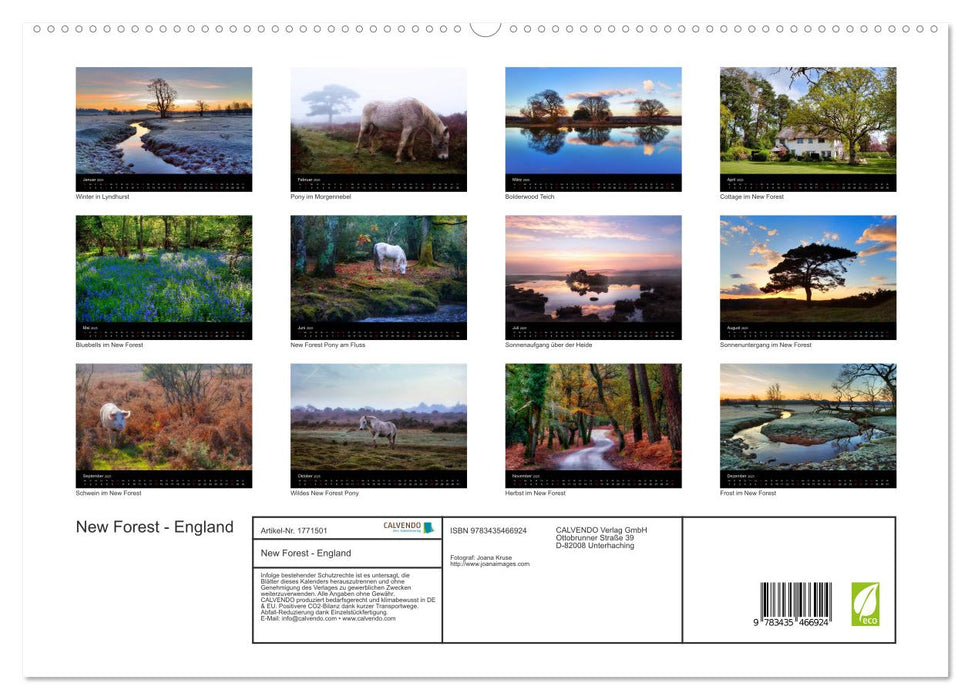 New Forest - England (CALVENDO Premium Wandkalender 2025)