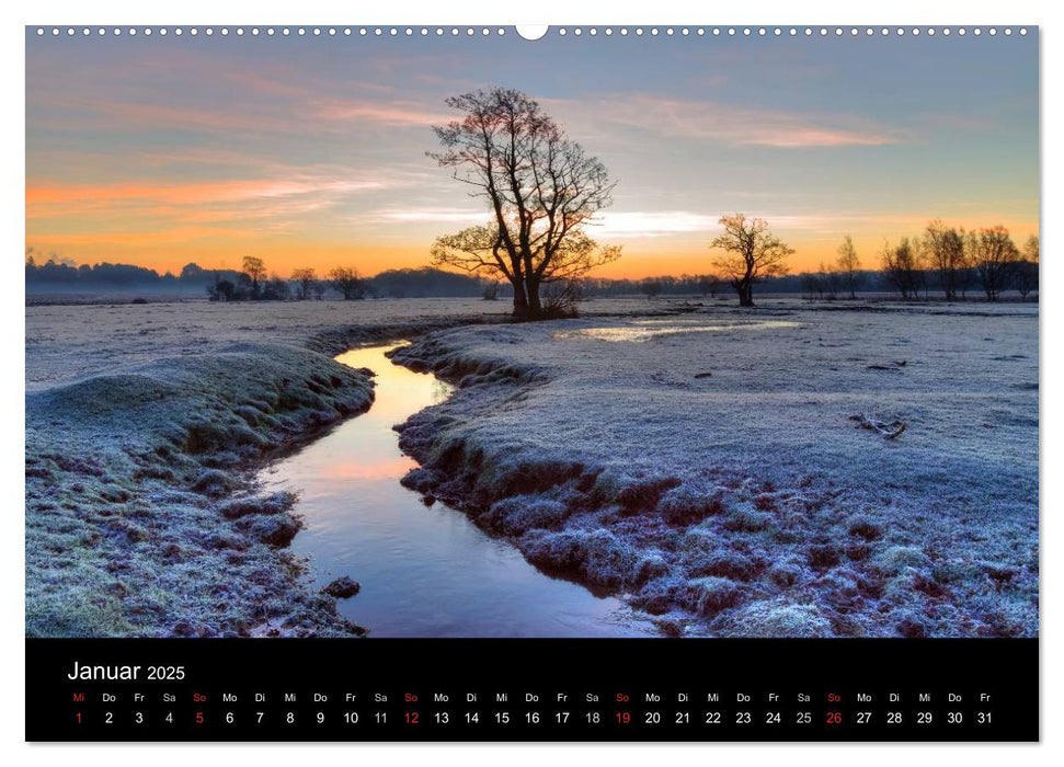 New Forest - England (CALVENDO Premium Wandkalender 2025)