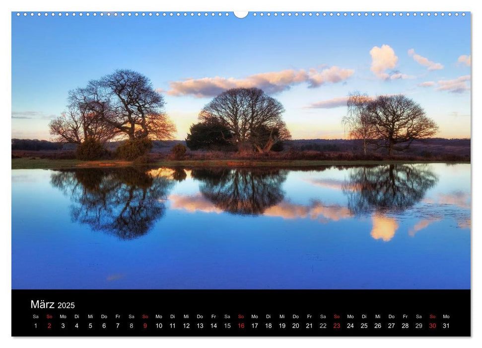 New Forest - England (CALVENDO Premium Wandkalender 2025)