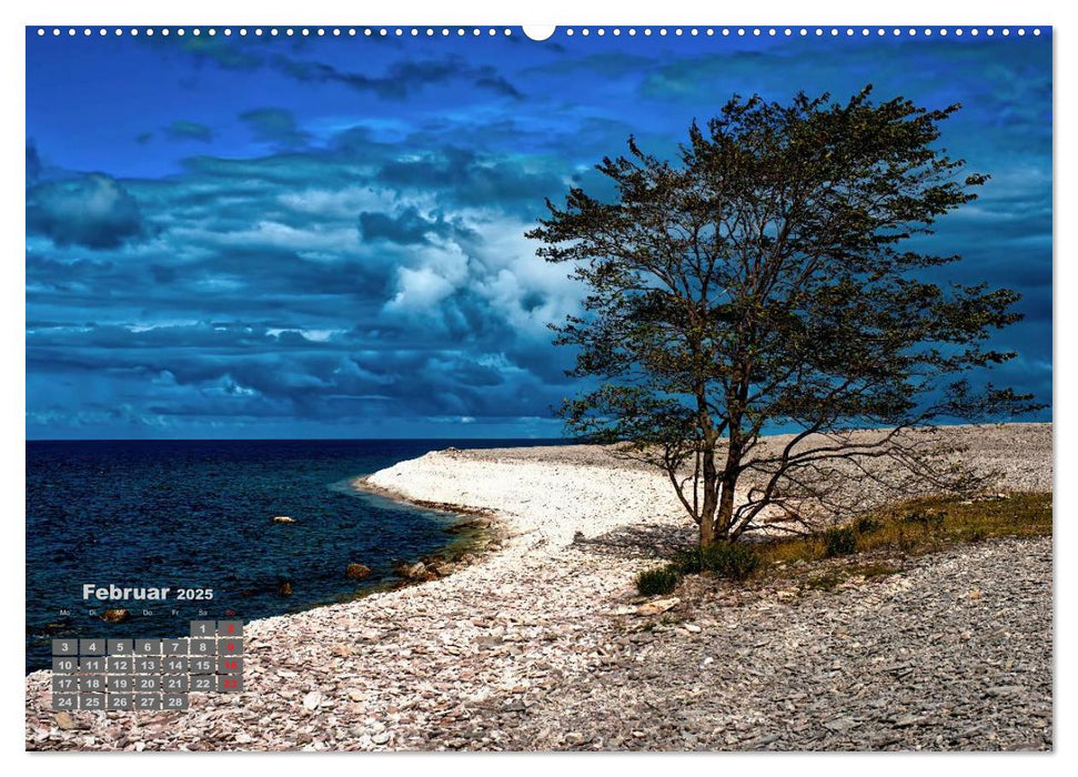 Raukar - Gotlands bizarre Felsen (CALVENDO Premium Wandkalender 2025)