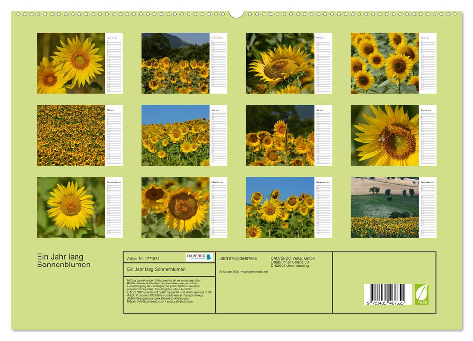 Ein Jahr lang Sonnenblumen (CALVENDO Premium Wandkalender 2025)