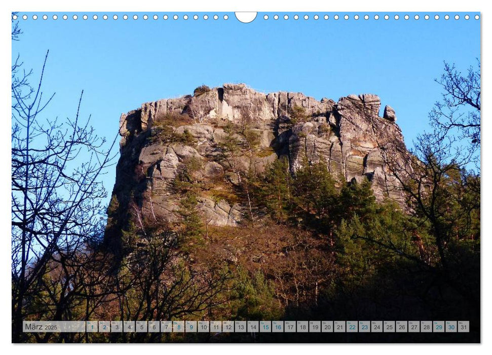 Blankenburg im Harz (CALVENDO Wandkalender 2025)