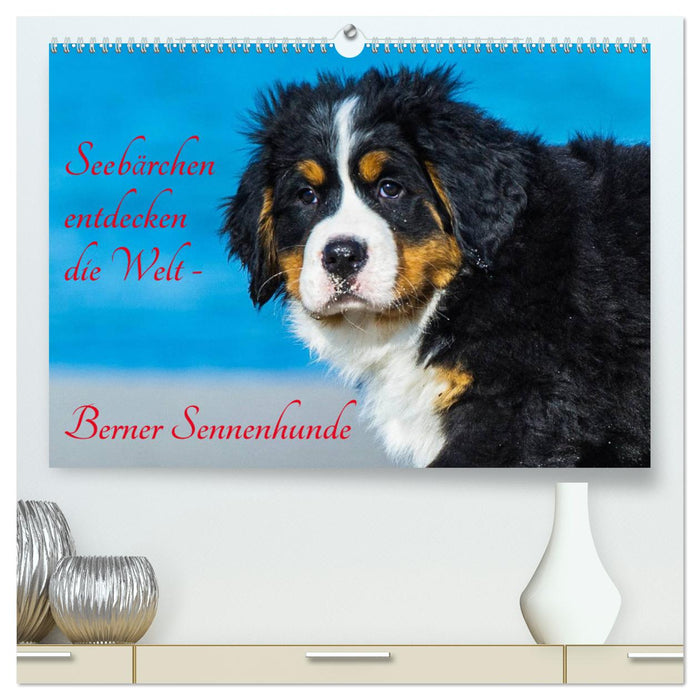 Seebärchen entdecken die Welt - Berner Sennenhunde (CALVENDO Premium Wandkalender 2025)