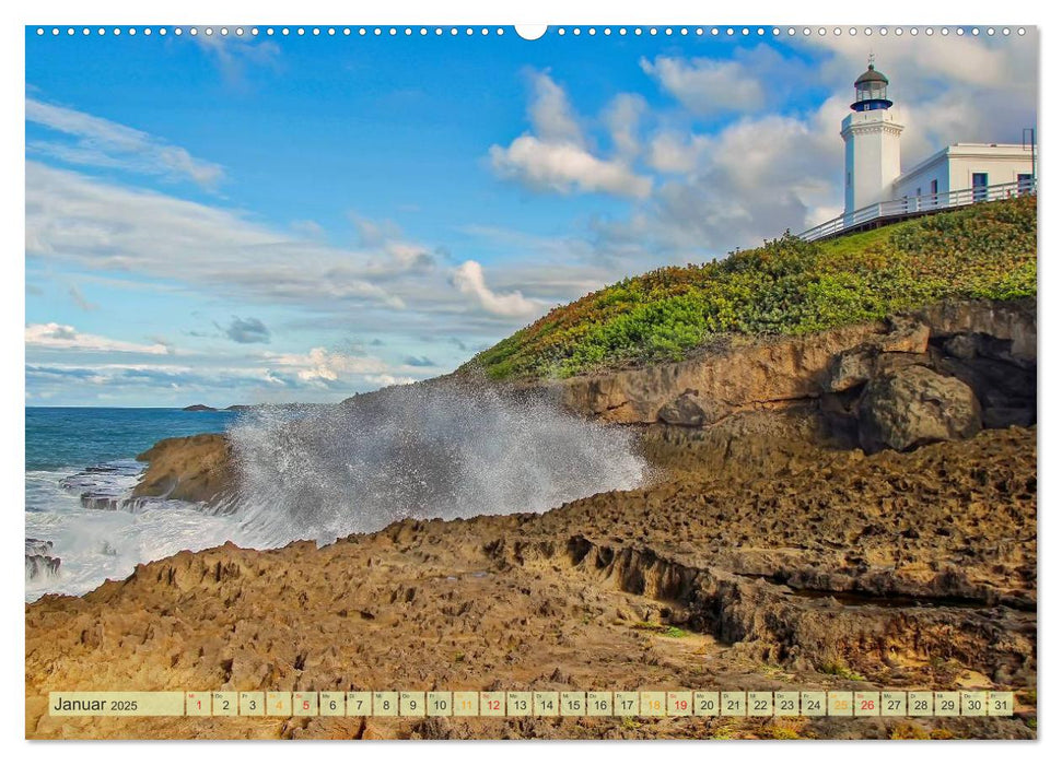 Die großen Antillen - Puerto Rico (CALVENDO Premium Wandkalender 2025)