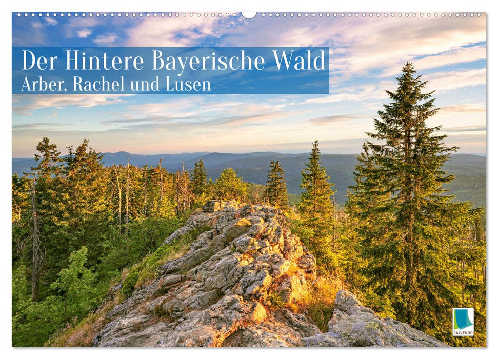 Arber, Rachel und Lusen: Der Hintere Bayerische Wald (CALVENDO Wandkalender 2025)