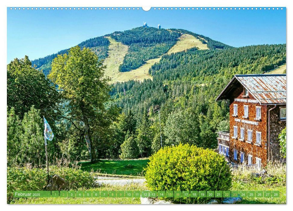 Arber, Rachel und Lusen: Der Hintere Bayerische Wald (CALVENDO Wandkalender 2025)