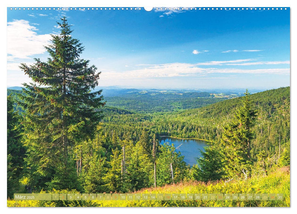 Arber, Rachel und Lusen: Der Hintere Bayerische Wald (CALVENDO Wandkalender 2025)