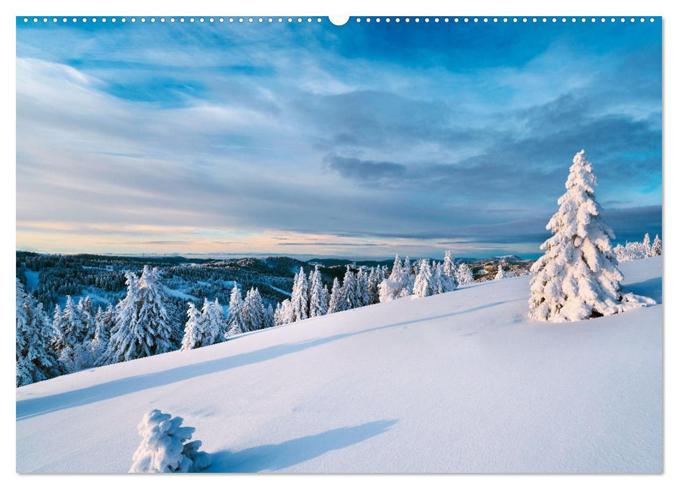 Schwarzwald - Märchenwald (CALVENDO Wandkalender 2025)