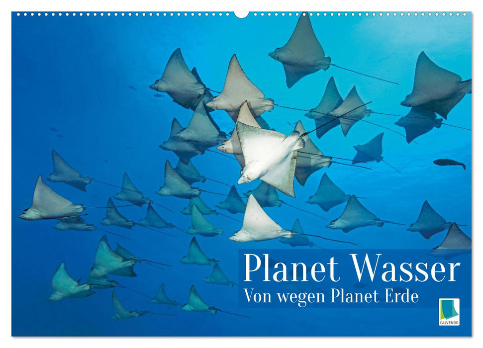 Planet Wasser: Von wegen Planet Erde (CALVENDO Wandkalender 2025)