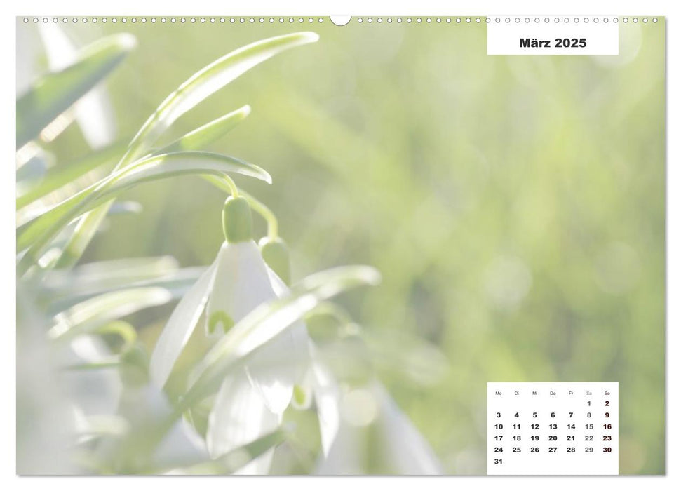 Naturmotive - Bastelkalender (CALVENDO Premium Wandkalender 2025)