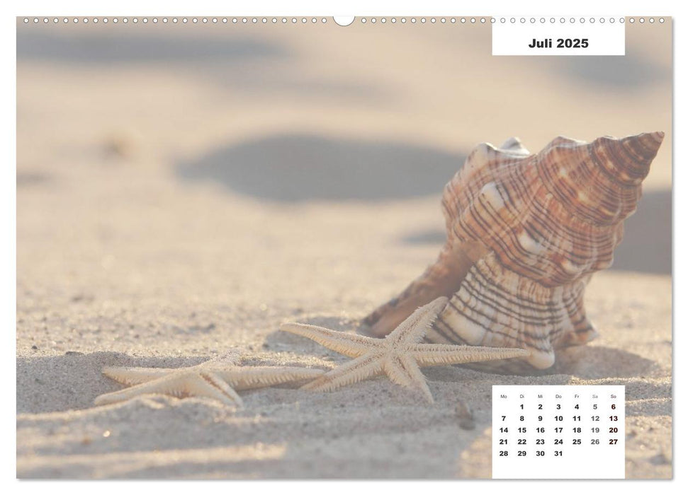 Naturmotive - Bastelkalender (CALVENDO Premium Wandkalender 2025)