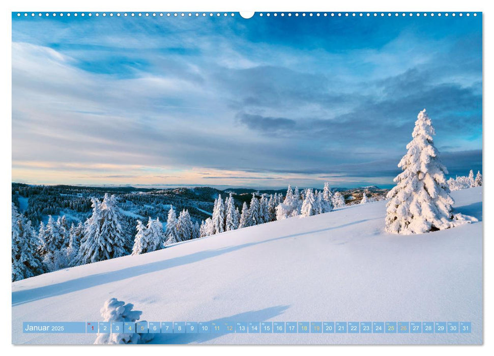 Schwarzwald - Märchenwald (CALVENDO Premium Wandkalender 2025)