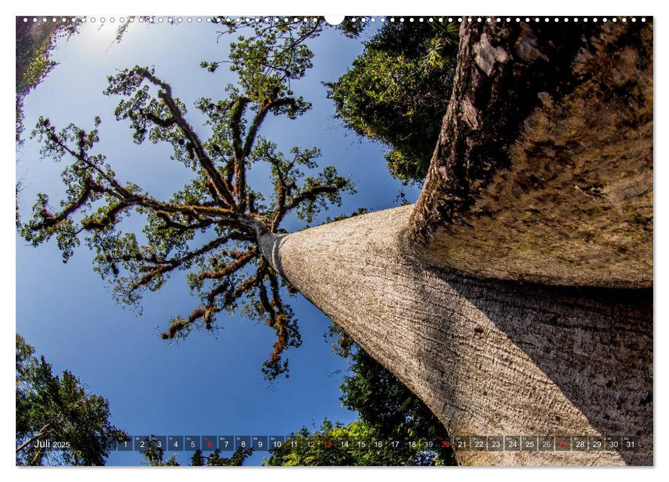 Belize - Guatemala (CALVENDO Premium Wandkalender 2025)